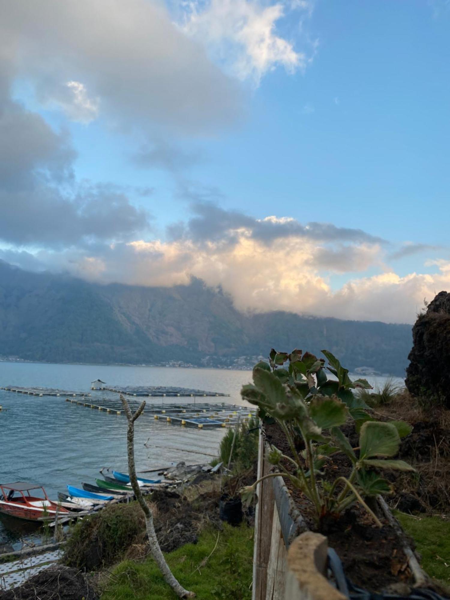 Luxury tent D' Tepi Danau Glamping Kintamani (Bali)